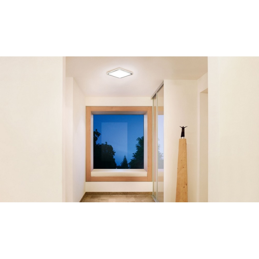Steinel 052539 - LED plafonska svetiljka sa senzorom LED/9,5W/230V