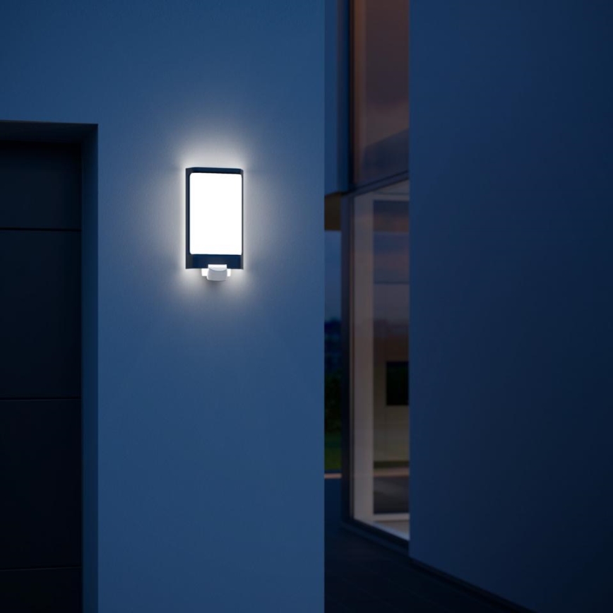 Steinel 056506 - LED spoljašnje svetlo sa senzorom L 240 LED/7,5W/230V IP44