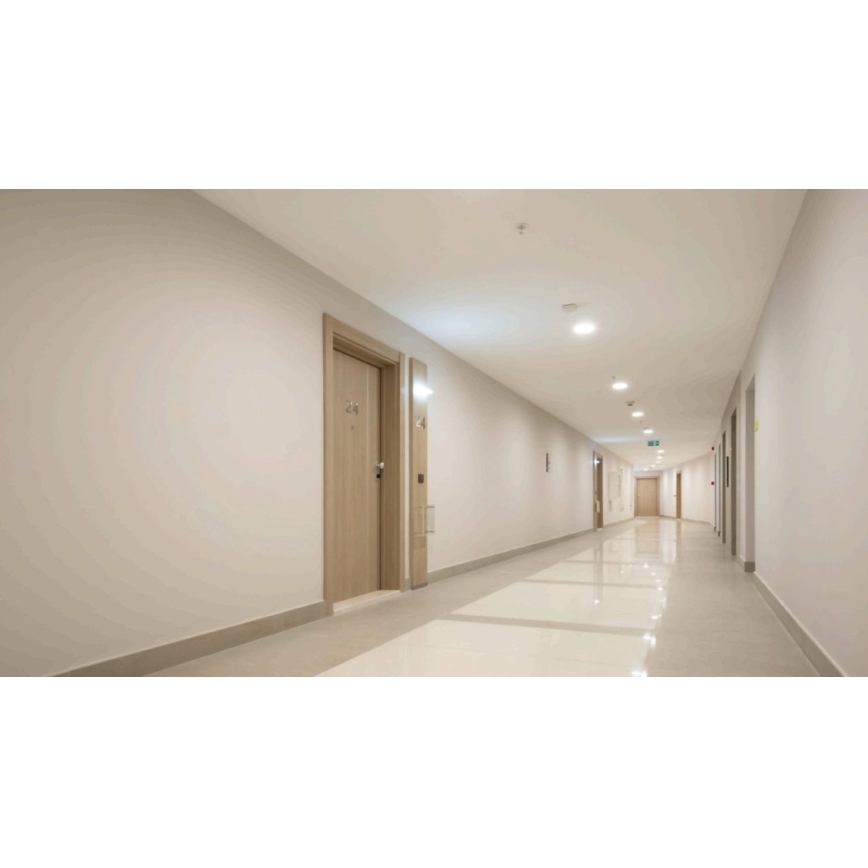 Steinel 057275 - Senzor pokreta IS 345 DALI-2 IPD IP54 četvrtast beo