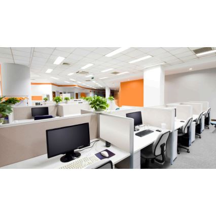 Steinel 059521 - Detektor prisutnosti DualTech KNX, beo