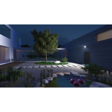 Steinel 065263 - LED reflektor sa senzorom XLED ONE XL S LED/42,6W/230V 3000K IP44 antracit