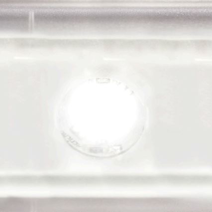 STEINEL 065713 - LED svetlo za kućni broj sa senzorom L820 LED/12,5W/230V IP44