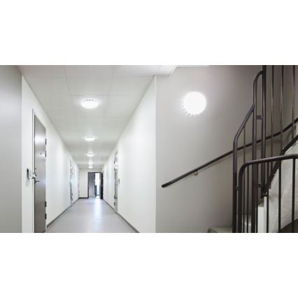 Steinel 067540 - LED prigušiva stropna svetiljka sa senzorom RS PRO S20 SC 15,7W/230V 4000K