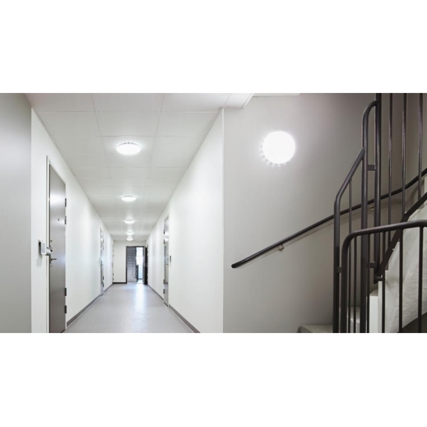 Steinel 067564 - LED prigušiva plafonska svetiljka sa senzorom RS PRO S20 SC LED/15,7W/230V 3000K