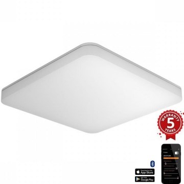Steinel 067731- LED prigušiva stropna svetiljka sa senzorom RS PRO R20 PLUS 15,86W/230V IP40 4000K