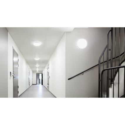 Steinel 079710 - Komplet od 5 LED plafonskih svetala sa senzorom RS PRO S30 SC LED/25,7W/230V 4000K