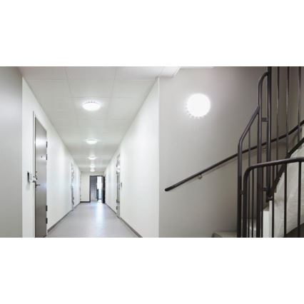 Steinel 081935 - Set od 5 LED plafonskih svetala sa senzorom RS PRO S10 SC LED/9,1W/230V 3000K