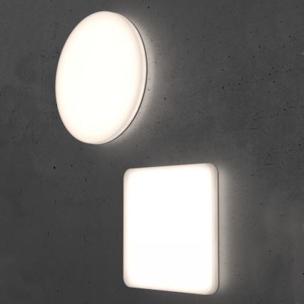 Steinel 067717 - LED prigušiva stropna svetiljka sa senzorom RS PRO R10 PLUS SC 8,5W/230V IP40 3000K