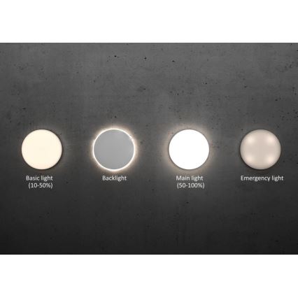 Steinel 067724 - LED prigušiva plafonska svetiljka sa senzorom RS PRO R20 PLUS 15,86W/230V IP40 4000K