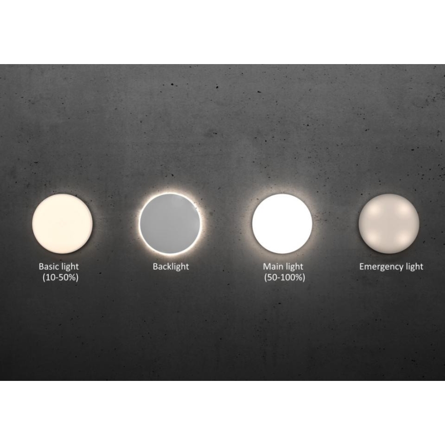 Steinel 067724 - LED prigušiva plafonska svetiljka sa senzorom RS PRO R20 PLUS 15,86W/230V IP40 4000K