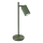 Stona lampa KARBON 1xGU10/10W/230V zelena