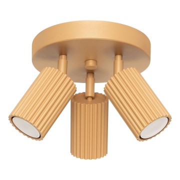 Stropna spot lampa KARBON 3xGU10/10W/230V zlatna