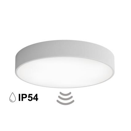 Stropno kupatilsko svetlo sa senzorom CLEO 4xE27/24W/230V, prečnika 50 cm, IP54, sivo