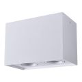 Stropno spot svetlo HADAR Q2 2xGU10/10W/230V belo