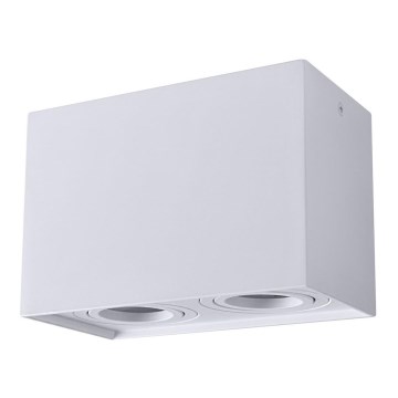 Stropno spot svetlo HADAR Q2 2xGU10/10W/230V belo