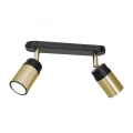 Stropno spot svetlo NEST 2xGU10/8W/230V crna/mesing