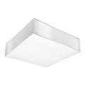 Stropno svetlo HORUS 35 2xE27/60W/230V belo