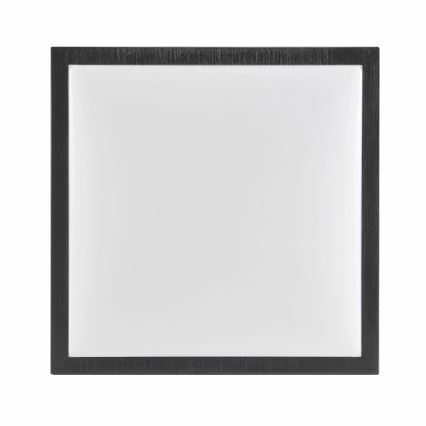Stropno svetlo KAZIMIERZ 2xE27/20W/230V 29,5x29,5 cm crno