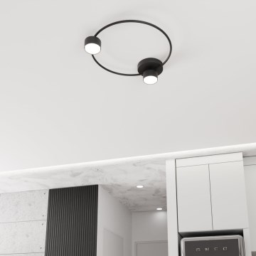 Stropno svetlo LUCIO 2xGX53/12W/230V crna