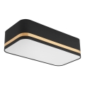 Stropno svetlo SIRJA SQUARE STRIPE 2xE27/15W/230V crna/zlatna