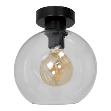 Stropno svetlo SOFIA 1xE27/60W/230V prozirno