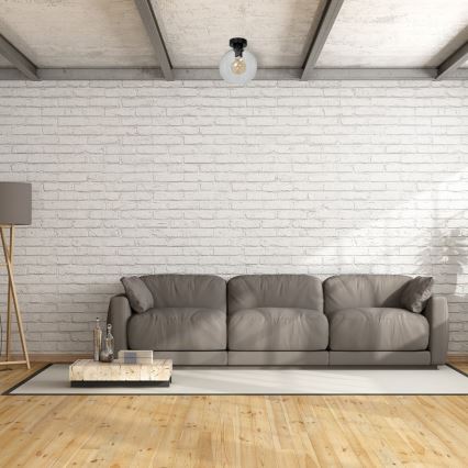 Stropno svetlo SOFIA 1xE27/60W/230V prozirno