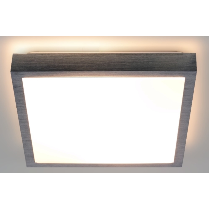 Stropno svetlo VITAL 2xE27/60W/230V matni hrom
