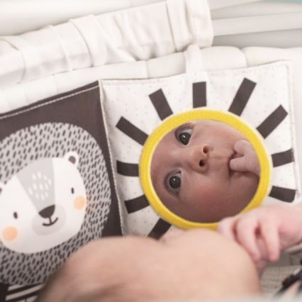 Taf Toys - Dečija tekstilna knjiga 3u1 Savana