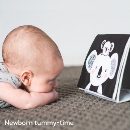 Taf Toys - Dečja tekstilna knjiga sa ogledalom u obliku koale