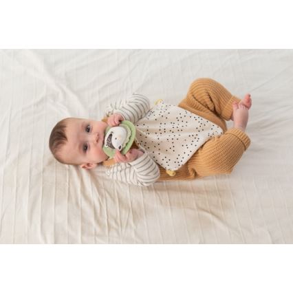 Taf Toys - Poklon paket HELLO BABY