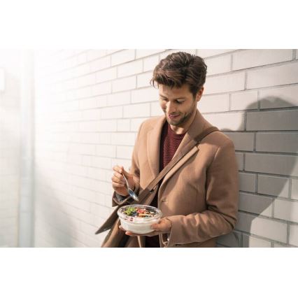 Tefal - Posuda za hranu 0,6 l MSEAL GLASS crvena/staklo