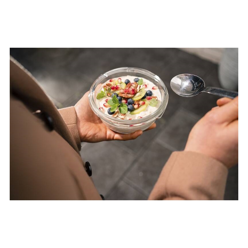 Tefal - Posuda za hranu 0,6 l MSEAL GLASS crvena/staklo