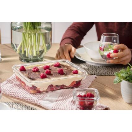 Tefal - Posuda za hranu 3 l MSEAL GLASS crvena/staklo