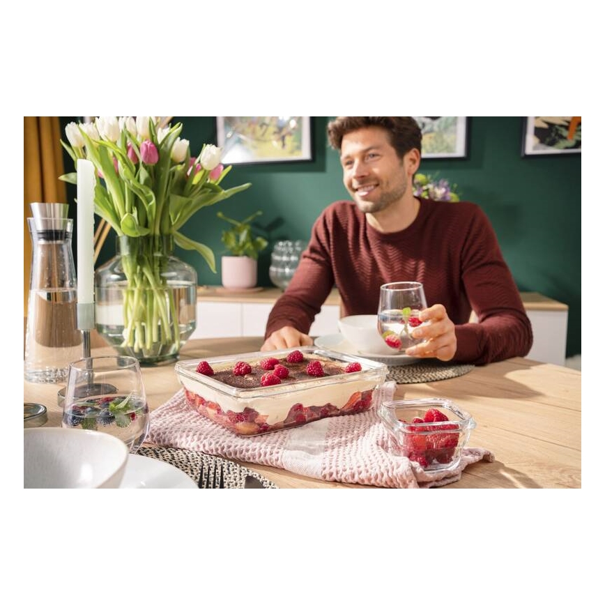 Tefal - Posuda za hranu 3 l MSEAL GLASS crvena/staklo