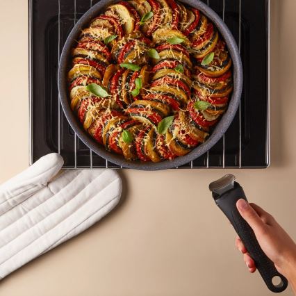 Tefal - Šerpa INGENIO NATURAL FORCE 16 cm