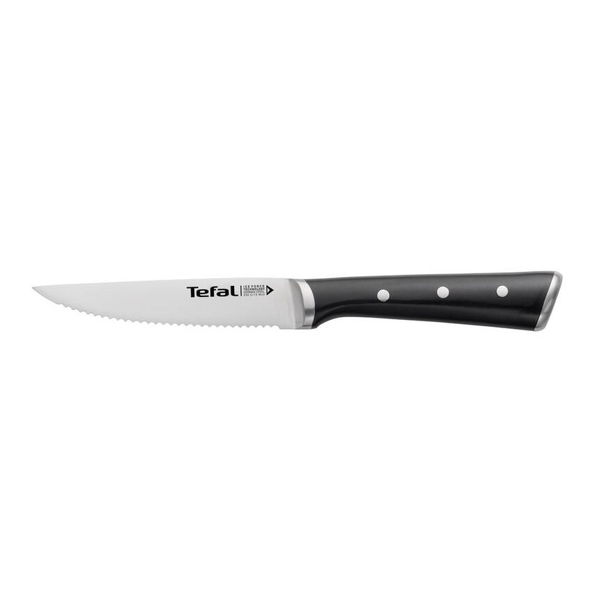 Tefal - Set noževa za steak ICE FORCE od nerđajućeg čelika 11 cm, sjajni hrom/crna, 4 kom