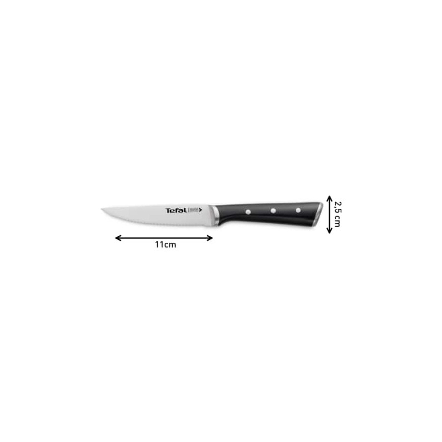 Tefal - Set noževa za steak ICE FORCE od nerđajućeg čelika 11 cm, sjajni hrom/crna, 4 kom