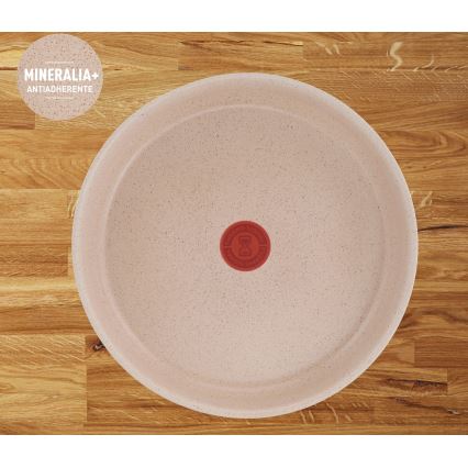 Tefal - Set od 3 tiganja INGENIO DELIGHT