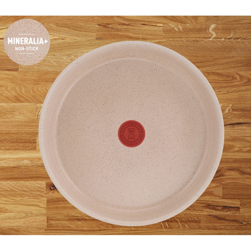 Tefal - Set posuđa 17 delova INGENIO DELIGHT