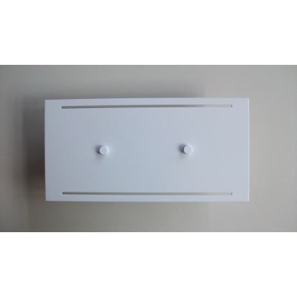 Telefunken 307806TF - LED spoljna zidna svetiljka 2xLED/3,5W/230V IP44 bela