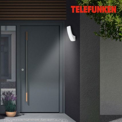 Telefunken 311604TF - LED Spoljašnje zidno svetlo LED/15W/230V IP44 srebrna