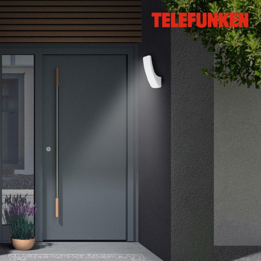 Telefunken 311604TF - LED Spoljašnje zidno svetlo LED/15W/230V IP44 srebrna