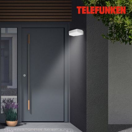 Telefunken 312204TF - Spoljna zidna LED svetiljka LED/14W/230V IP44