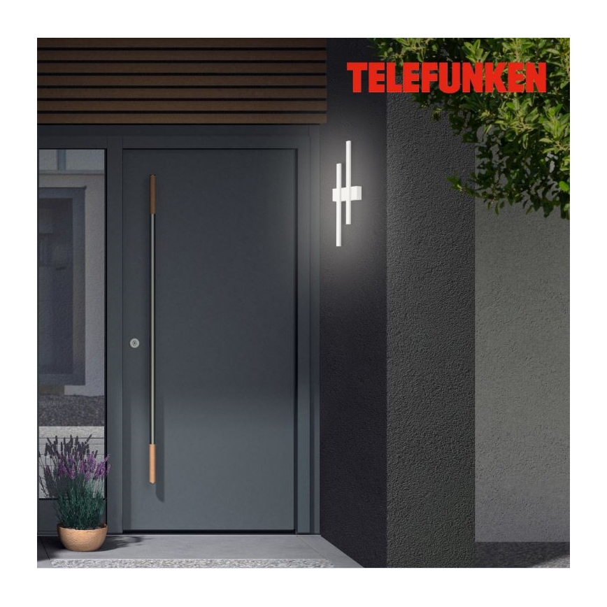Telefunken 313206TF - LED spoljašnje zidno svetlo 2xLED/8W/230V IP44