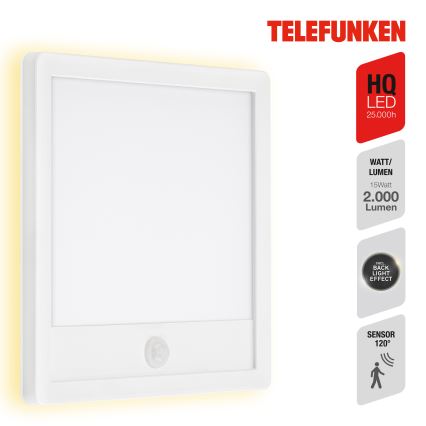 Telefunken 313806TF - LED spoljašnje zidno svetlo sa senzorom LED/15W/230V IP44