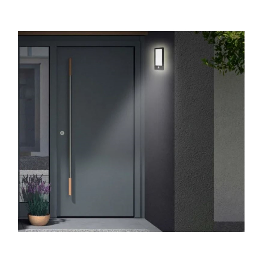 Telefunken 313905TF - LED spoljno zidno svetlo sa senzorom LED/16W/230V IP44