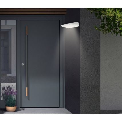 Telefunken - LED spoljašnje zidno svetlo LED/10W/230V IP44 belo