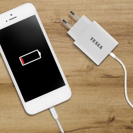 TESLA Electronics - Adapter za brzo punjenje Power Delivery 20W bela