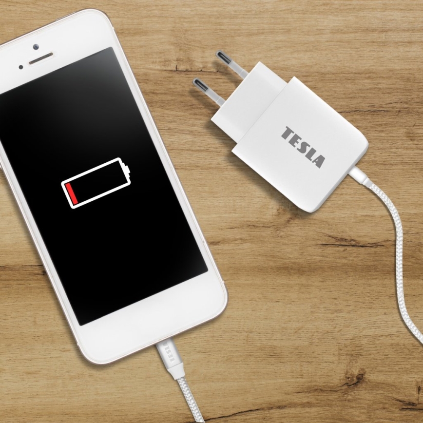 TESLA Electronics - Brzi adapter za punjenje Power Delivery 25W bela