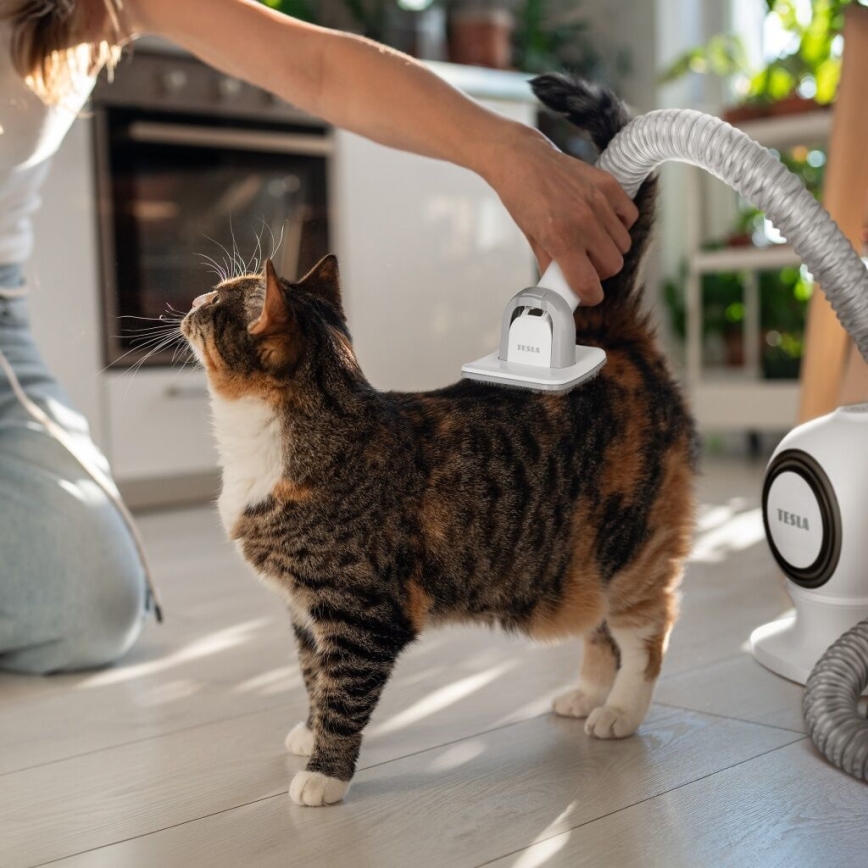 TESLA Electronics PetCare - Set za negu krzna kućnih ljubimaca 300W/230V